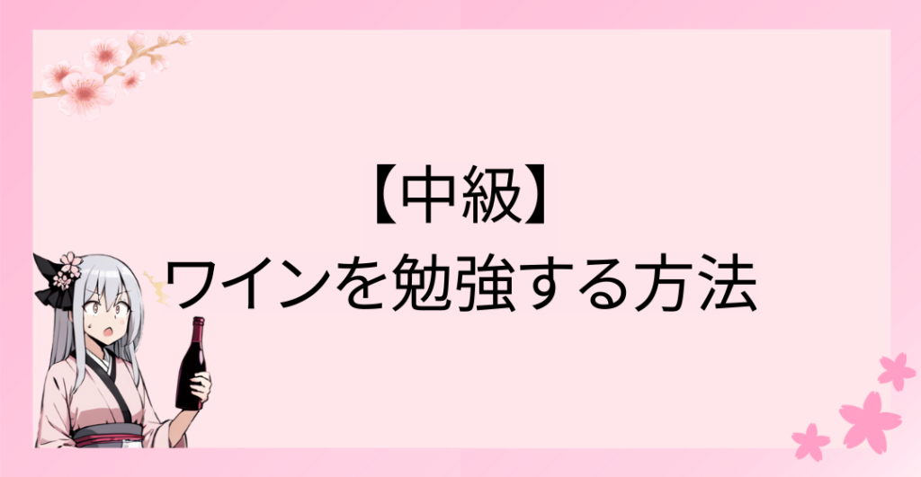 【中級】ワインを勉強する方法