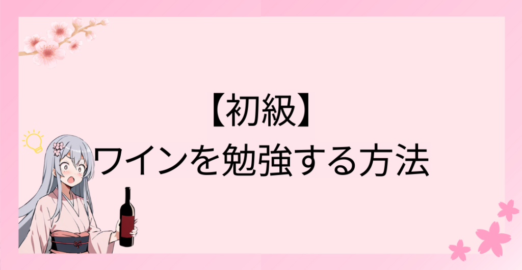 【初級】ワインを勉強する方法