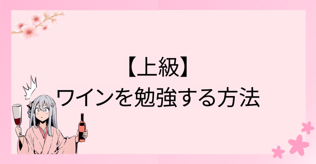 【上級】ワインを勉強する方法